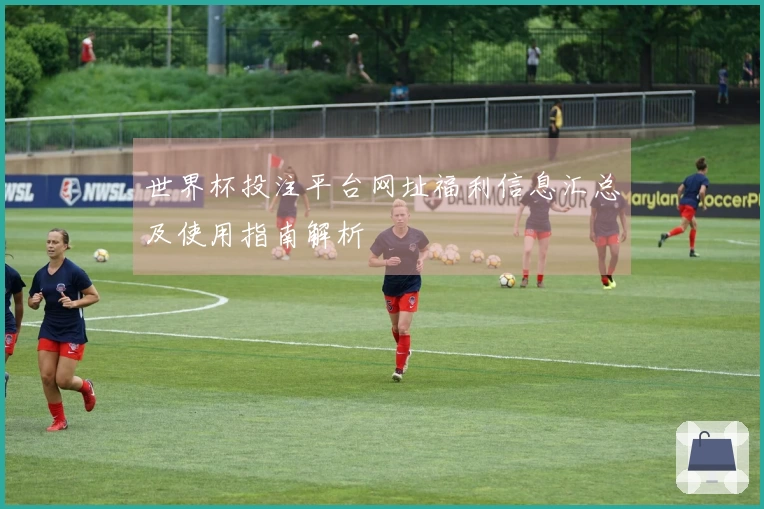 世界杯投注平台网址福利信息汇总及使用指南解析