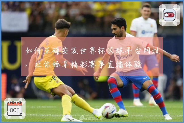 如何正确安装世界杯买球平台网址,让你畅享精彩赛事直播体验
