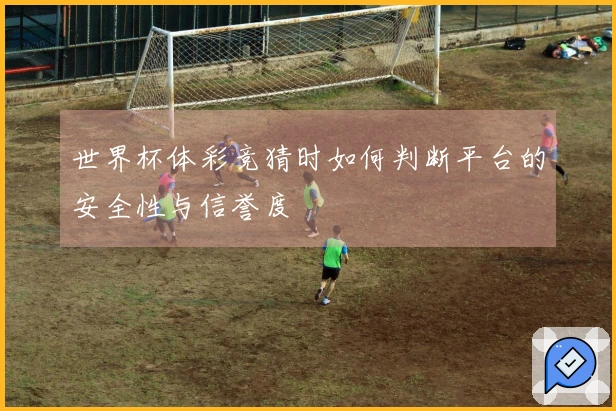 世界杯体彩竞猜时如何判断平台的安全性与信誉度