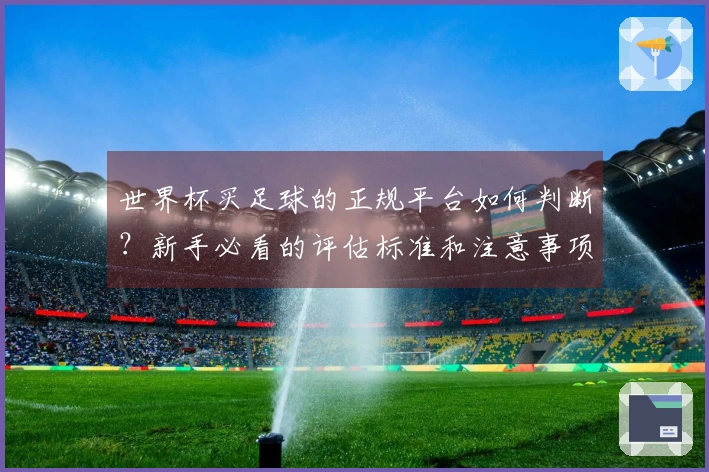 世界杯买足球的正规平台如何判断？新手必看的评估标准和注意事项