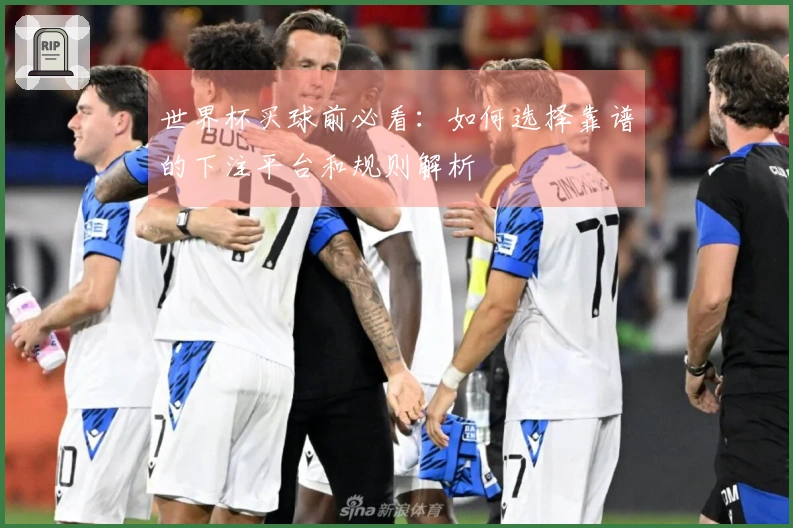 世界杯买球前必看：如何选择靠谱的下注平台和规则解析