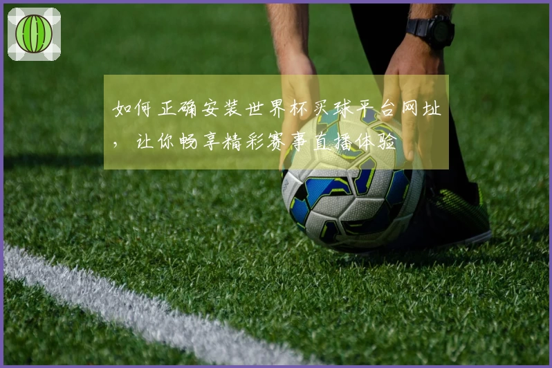 如何正确安装世界杯买球平台网址，让你畅享精彩赛事直播体验
