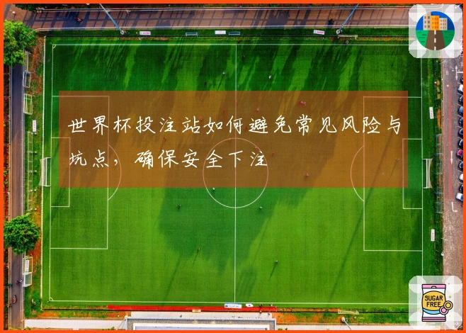 世界杯投注站如何避免常见风险与坑点，确保安全下注