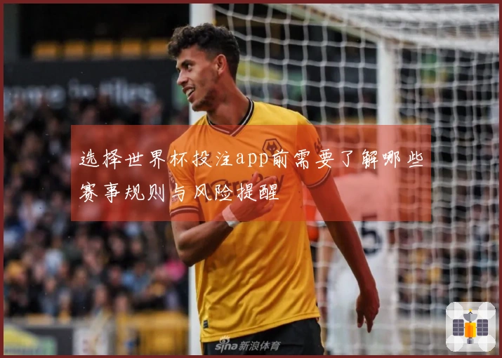 选择世界杯投注app前需要了解哪些赛事规则与风险提醒