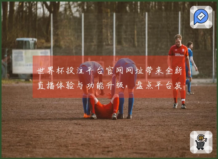 世界杯投注平台官网网址带来全新直播体验与功能升级，盘点平台发展动态