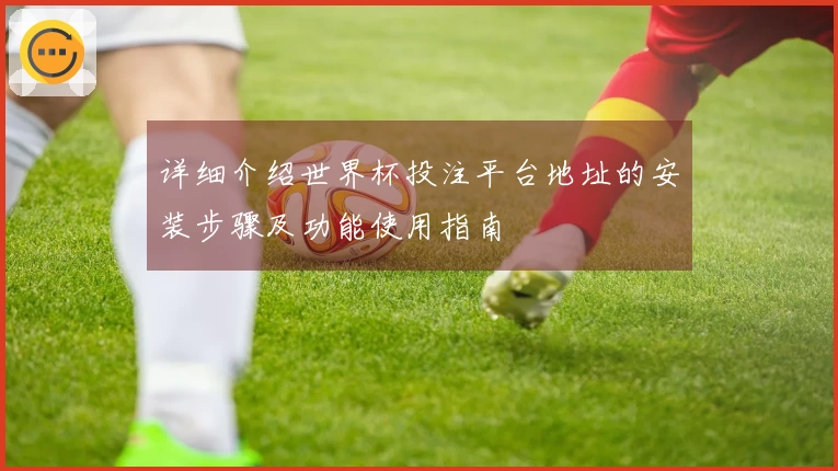 详细介绍世界杯投注平台地址的安装步骤及功能使用指南
