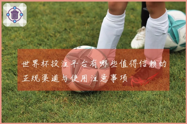 世界杯投注平台有哪些值得信赖的正规渠道与使用注意事项