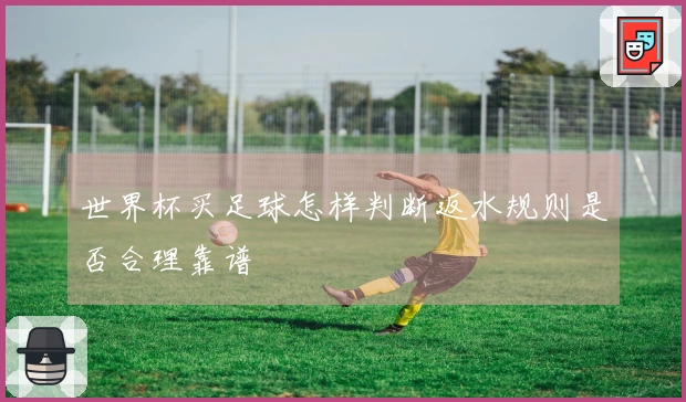 世界杯买足球怎样判断返水规则是否合理靠谱