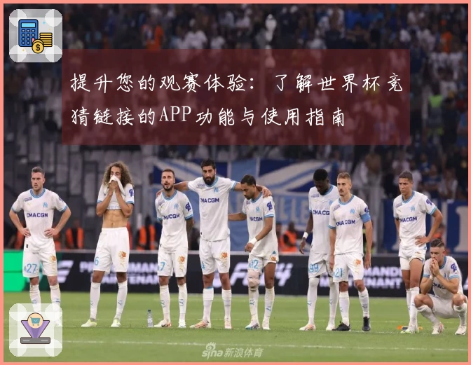 提升您的观赛体验：了解世界杯竞猜链接的APP功能与使用指南