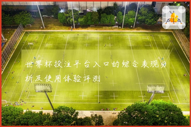 世界杯投注平台入口的综合表现分析及使用体验评测
