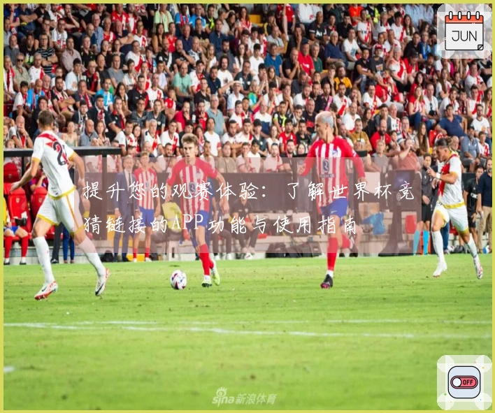 提升您的观赛体验：了解世界杯竞猜链接的APP功能与使用指南