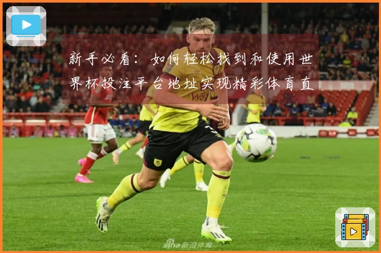 新手必看：如何轻松找到和使用世界杯投注平台地址实现精彩体育直播体验