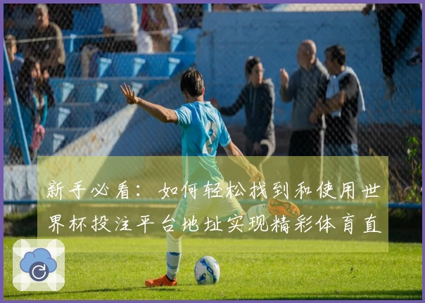 新手必看：如何轻松找到和使用世界杯投注平台地址实现精彩体育直播体验