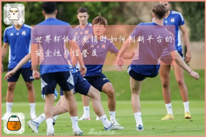 世界杯体彩竞猜时如何判断平台的安全性与信誉度