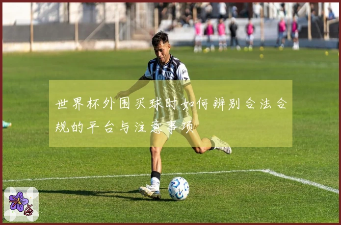 世界杯外围买球时如何辨别合法合规的平台与注意事项