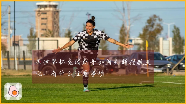 买世界杯竞猜新手如何判断指数变化，有什么注意事项