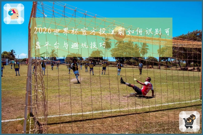 2026世界杯官方投注前如何识别可靠平台与避坑技巧