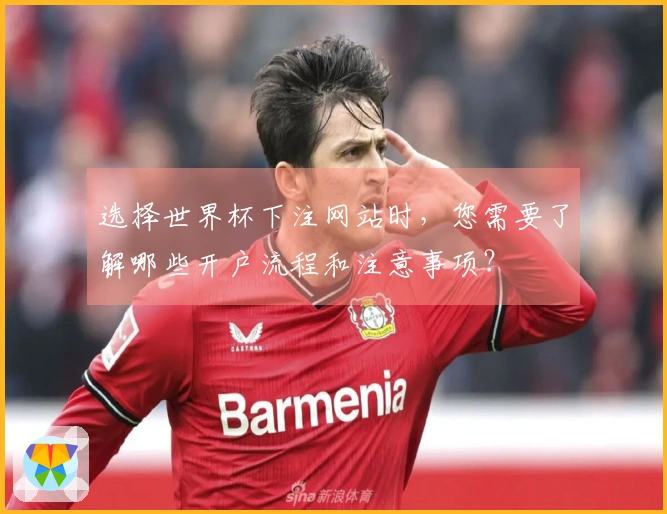 选择世界杯下注网站时，您需要了解哪些开户流程和注意事项？