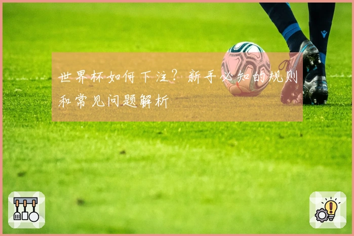 世界杯如何下注？新手必知的规则和常见问题解析