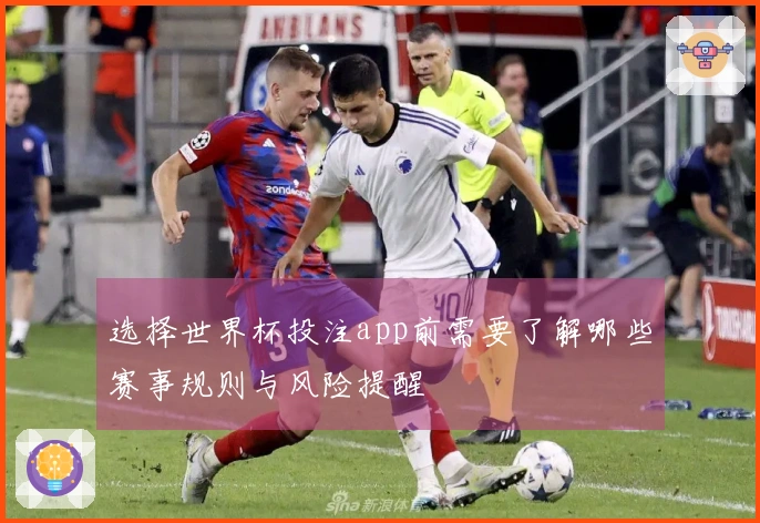 选择世界杯投注app前需要了解哪些赛事规则与风险提醒