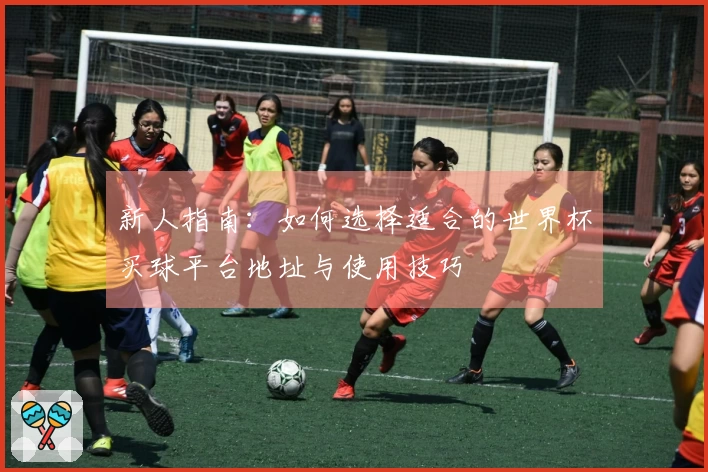 新人指南：如何选择适合的世界杯买球平台地址与使用技巧